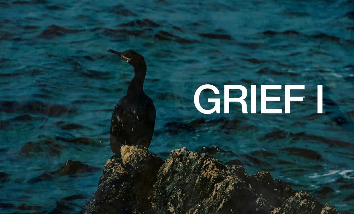 Paweł Kulczyński, Grief, 2020